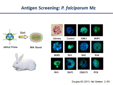 antigen-screening